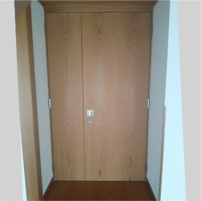 Flush Door